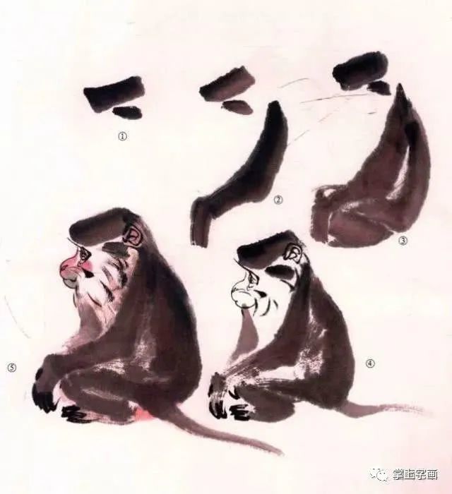 一只猴子画法步骤一:一笔写出背及一肢,顺手写尾.