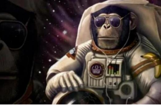 太空|还记得被美国送上太空的猴子吗？时隔50年，结局令人意外