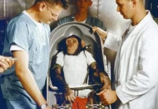 太空|还记得被美国送上太空的猴子吗？时隔50年，结局令人意外