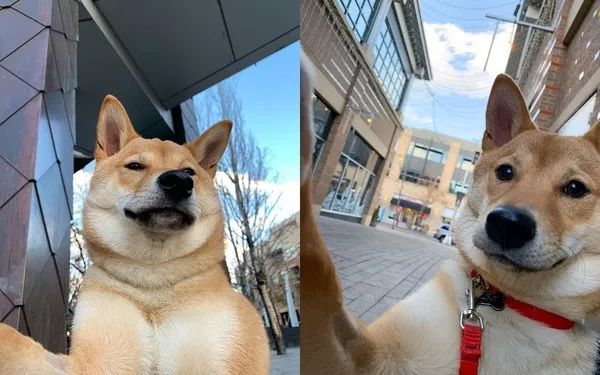 就喜欢自拍0死角帅柴圈粉网友敲碗求合照