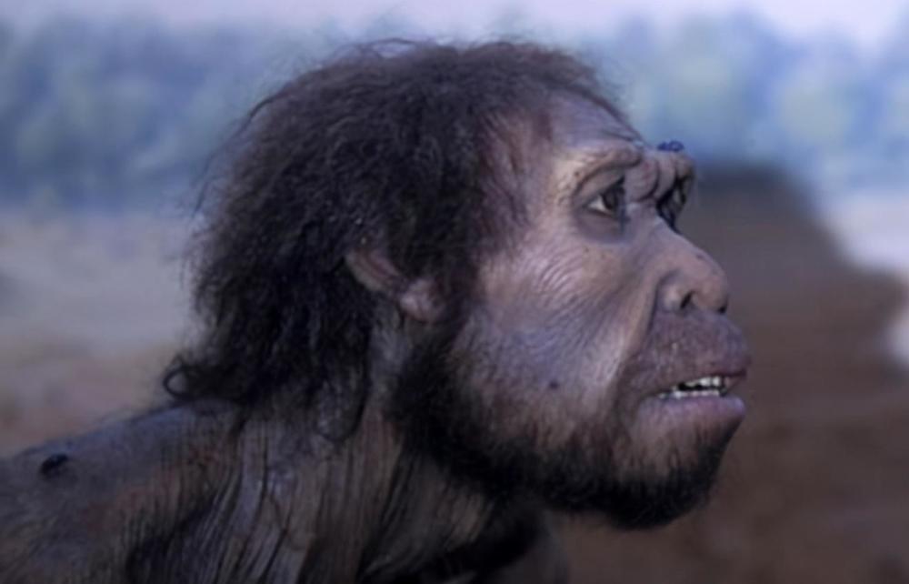 生殖隔离|什么是生殖隔离？为何黄种人、白种人、黑种人之间没有生殖隔离？