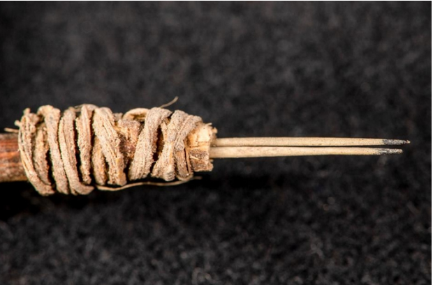 木乃伊|犹他州发现一件奇怪的工具，专家说，它就是两千年前的“纹身针”