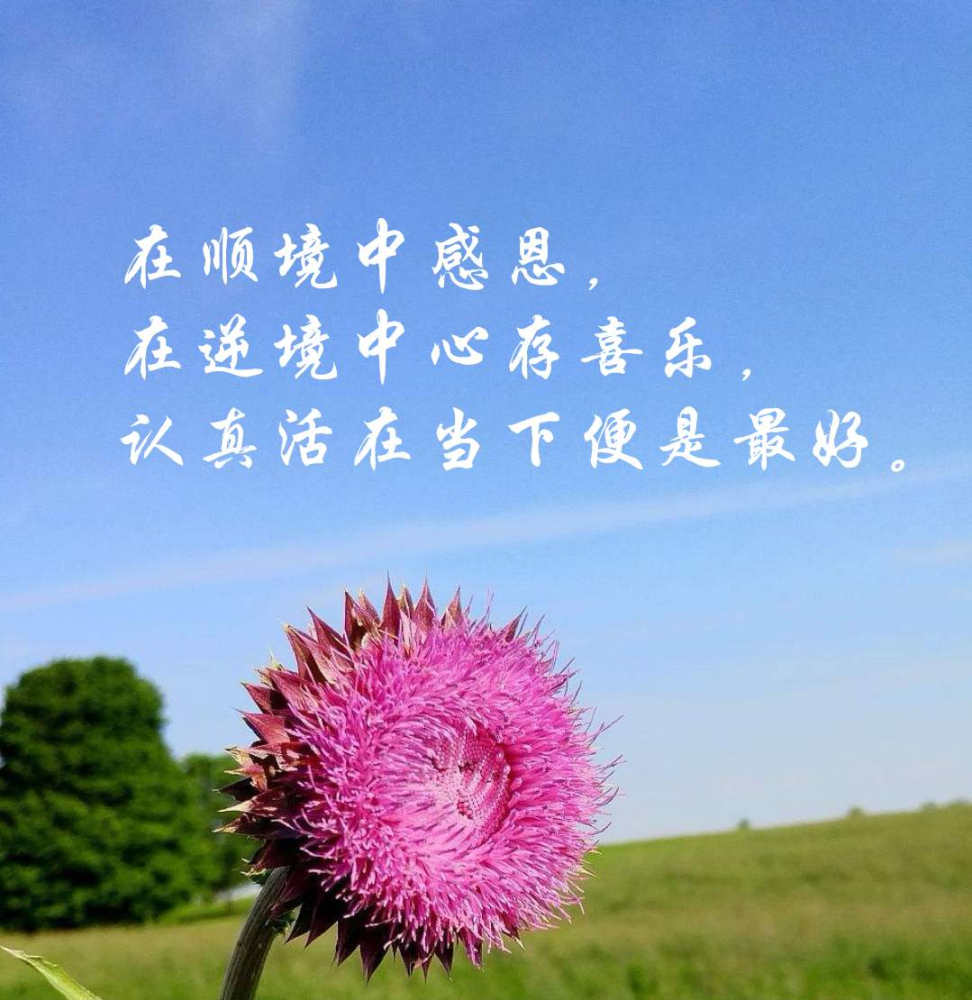 认真活在当下_腾讯新闻