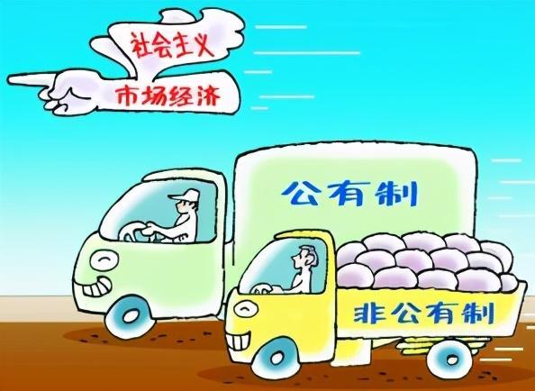 个毫不动摇的内容是什么(两个毫不动摇的内容是什么壮大农村集体经济)