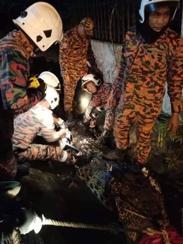 误闯住宅区水沟男子自卫开枪巨鳄头部中弹人道毁灭