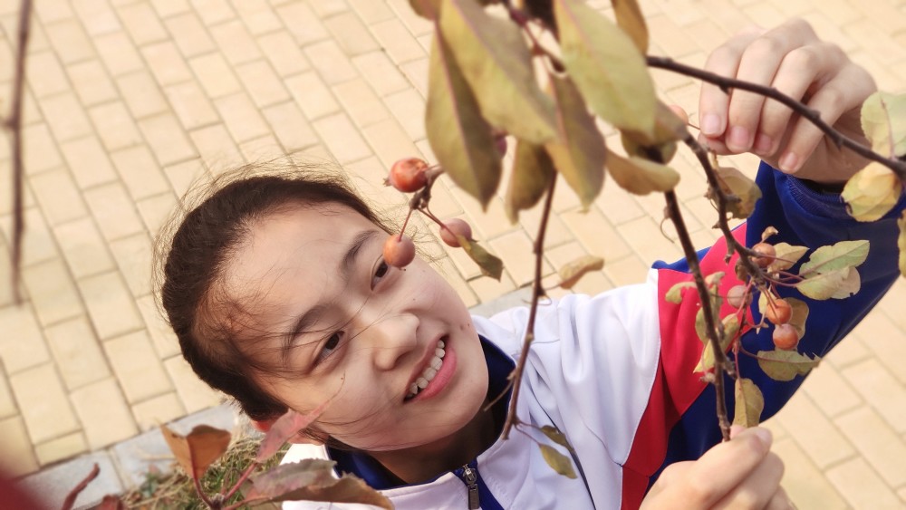 沈阳初中中学排名_目前最准确的2019沈阳市各初中中考三校率排名