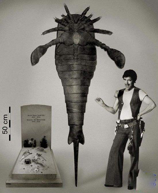 泥盆纪|大白鲨如果活在泥盆纪为什么要时时为保命担忧？