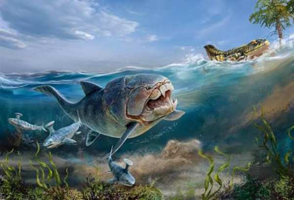 泥盆纪|大白鲨如果活在泥盆纪为什么要时时为保命担忧？