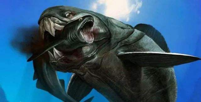 泥盆纪|大白鲨如果活在泥盆纪为什么要时时为保命担忧？