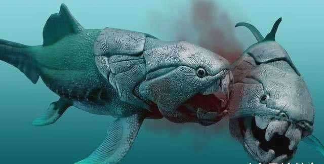 泥盆纪|大白鲨如果活在泥盆纪为什么要时时为保命担忧？