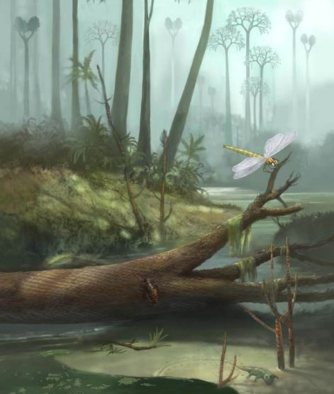 泥盆纪|大白鲨如果活在泥盆纪为什么要时时为保命担忧？