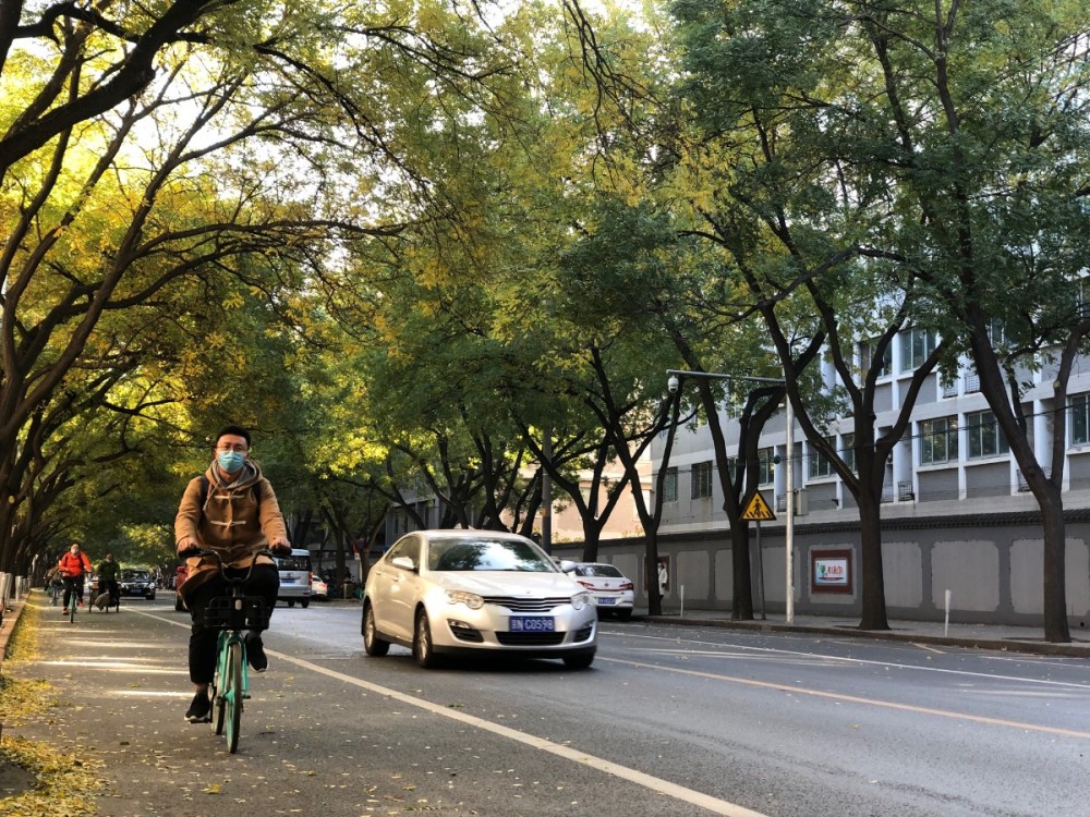 北京|查处违章停车，北京将赋予街巷长和停车管理员执法权