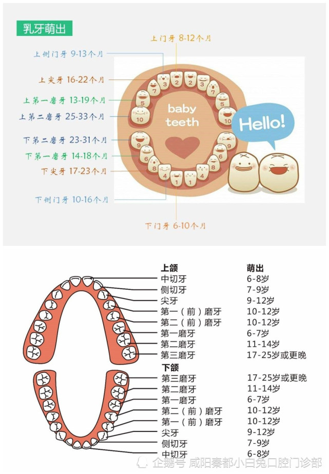 是的,窝沟封闭不仅是乳牙的防龋措施,也是早期恒牙的防龋措施,因为