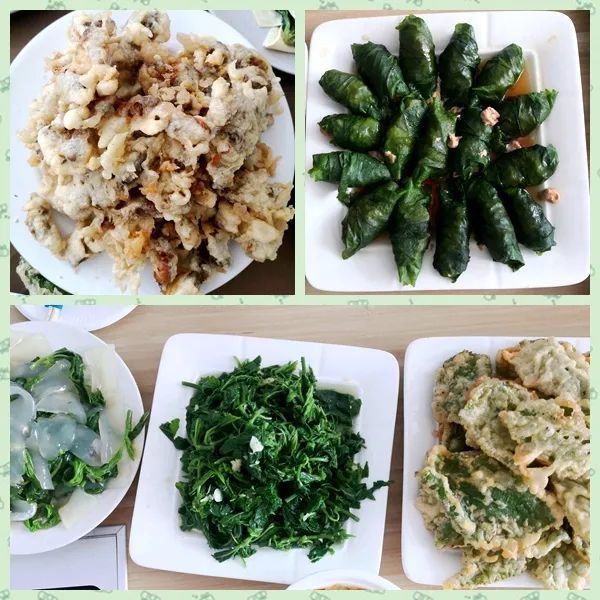 炸雄蚕蛾,桑叶卷,油炸桑叶,凉拌桑叶,桑叶凉皮在药食同源里,桑叶有