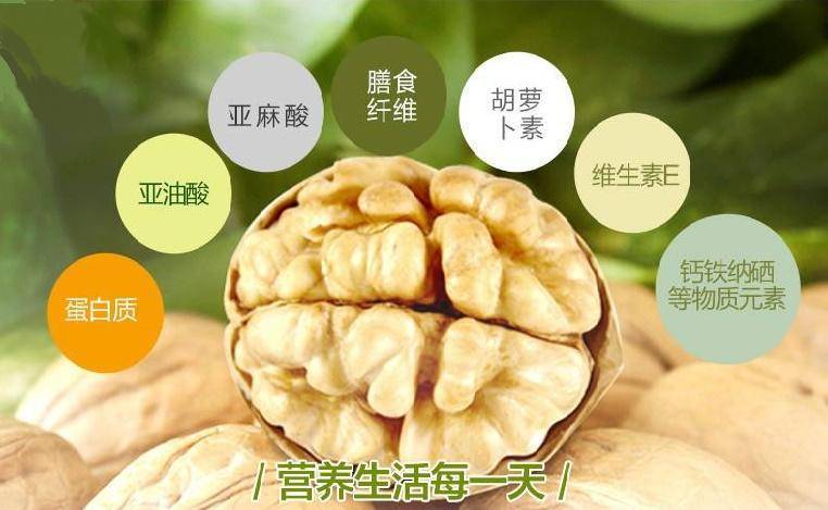 话食记|"万岁子"——纸皮核桃