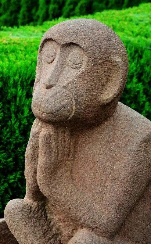 西游记里你不知道的那些事儿高中小科普