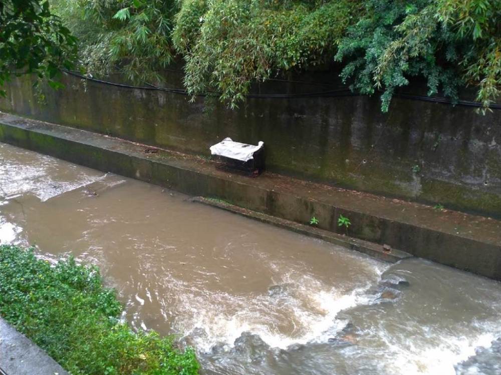 现场,发现1只黑色混种犬行色匆匆在大排水沟底水泥地上焦虑地来回踱步