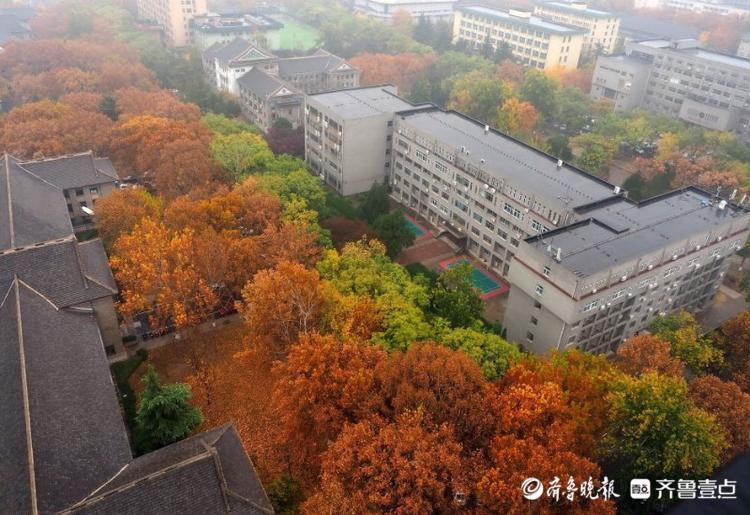 山东师范大学|冬雨如诗洗尘，山东师范大学老校园美如油画