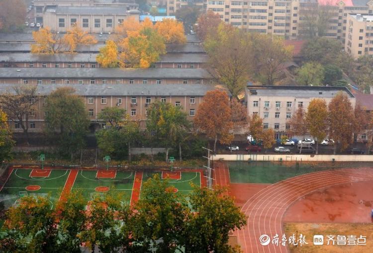 山东师范大学|冬雨如诗洗尘，山东师范大学老校园美如油画