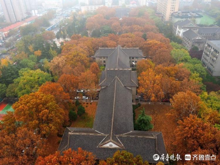 山东师范大学|冬雨如诗洗尘，山东师范大学老校园美如油画