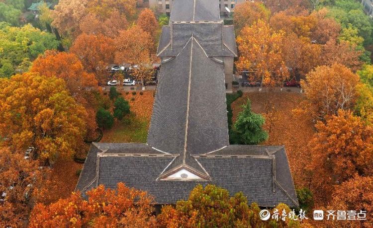 山东师范大学|冬雨如诗洗尘，山东师范大学老校园美如油画