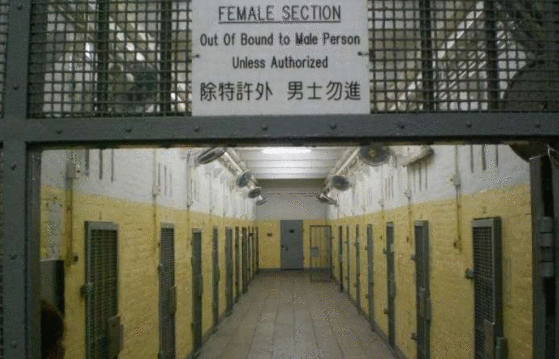 对越反击战,解放军打开越军监狱,看见了什么?气的浑身发抖