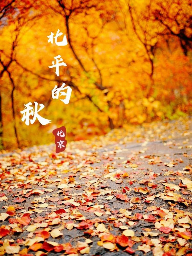 八达岭长城|11月北京秋季好玩的景点排名榜，秋天最适合旅游的地方有哪些