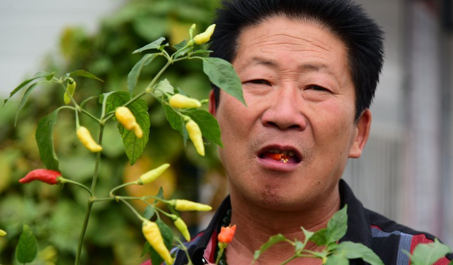 中国辣王李永志曾一天5斤辣椒配白酒如今的他怎样了