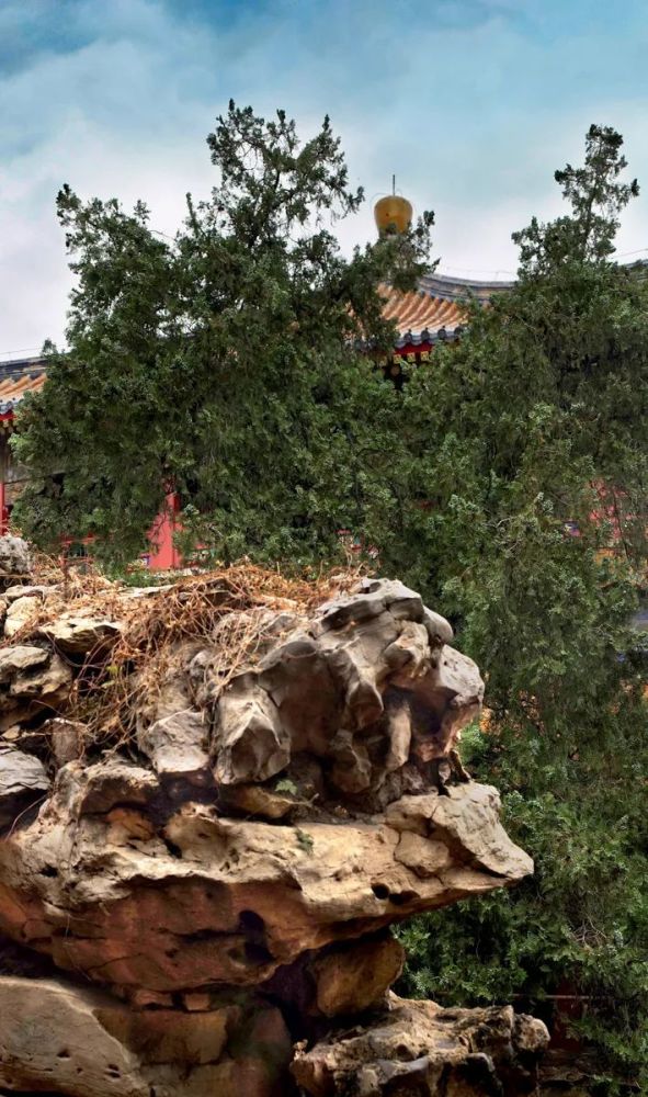 爱新觉罗·弘历|这座故宫里最神秘的花园，却是乾隆帝一生的遗憾
