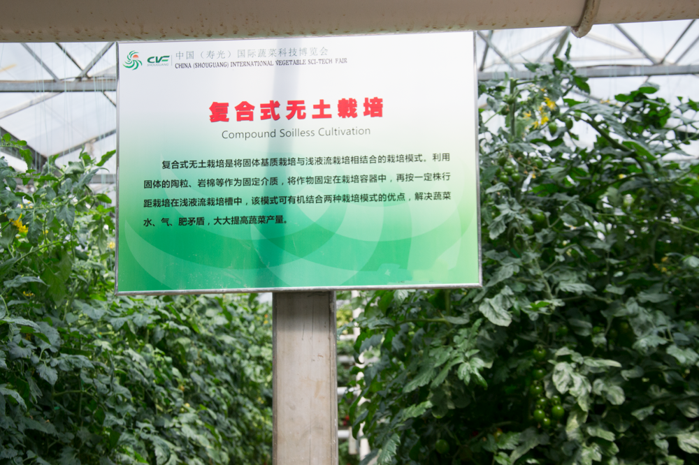 无土栽培都能行 苹果树秋施基肥不挖坑不能行 不行 别忘了土壤 腾讯新闻