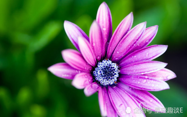 11月18日星座运势 巨蟹广纳善言 天蝎提高警惕 射手三思而行 射手座 巨蟹座 天蝎座 星座运势