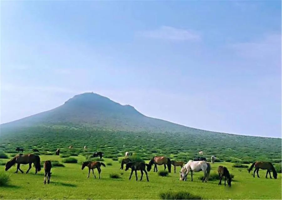 奶粉销售排行_我国奶粉抽检合格率超99.8%,6月京东平台奶粉销量榜出炉