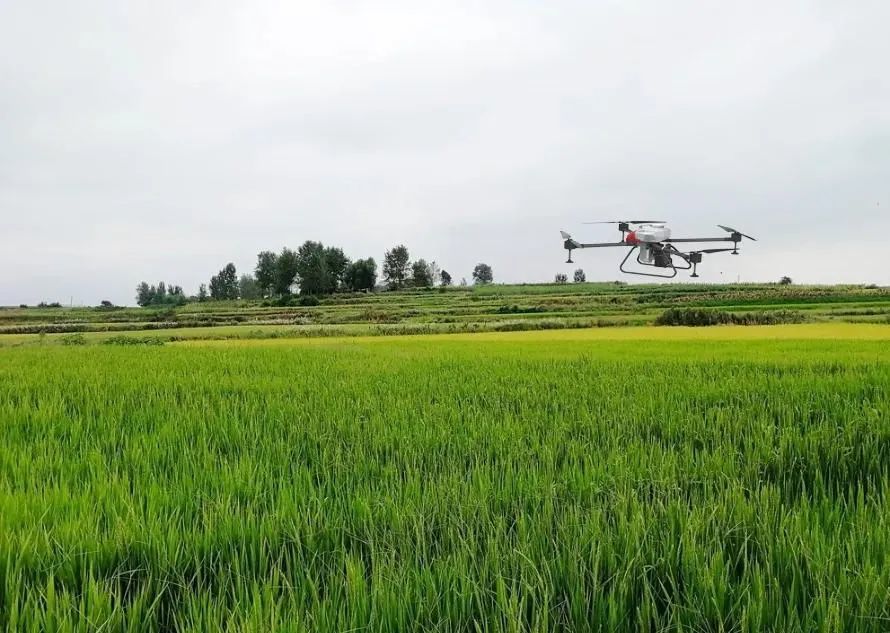 无人机植保|到底什么作物能够使用无人机植保呢？翼眸科技告诉你