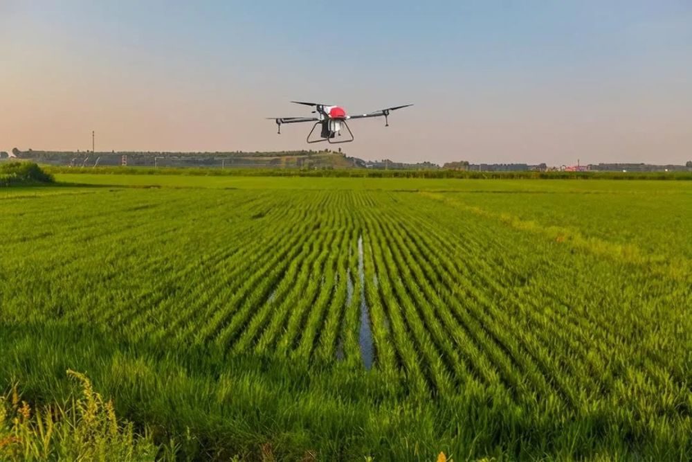 无人机植保|到底什么作物能够使用无人机植保呢？翼眸科技告诉你