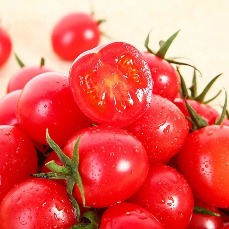 单果|草莓型水果番茄！甜度超高，比一般番茄好吃太多