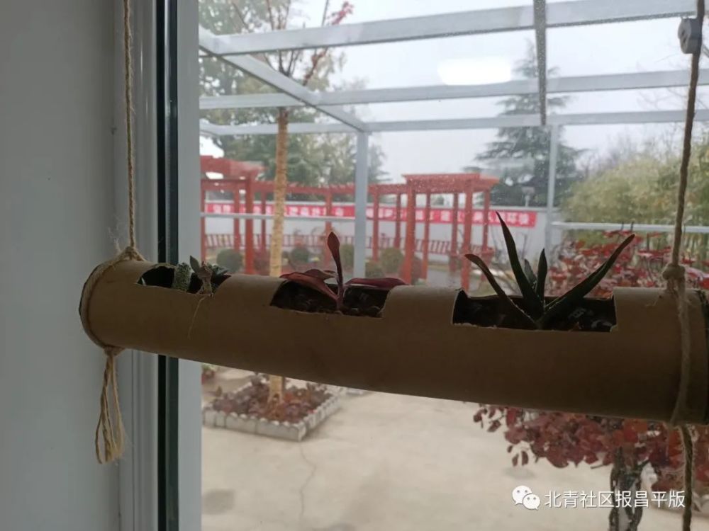 昌平区园林绿化局|窗外雨潺潺，园艺驿站带您在家门口做点浪漫的事情