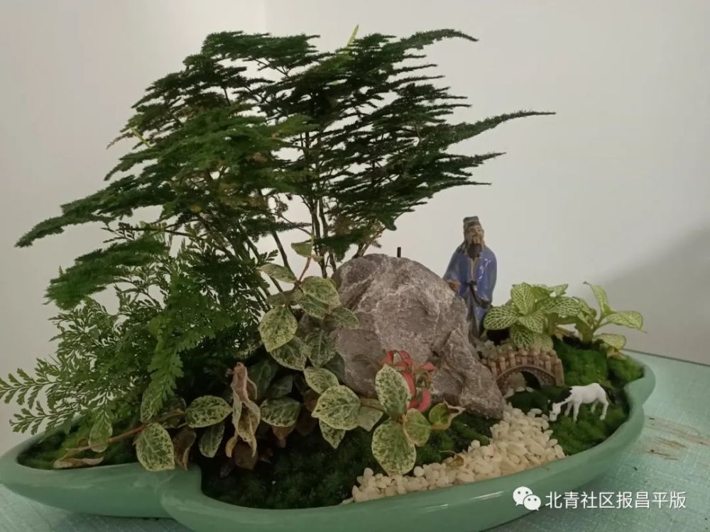 昌平区园林绿化局|窗外雨潺潺，园艺驿站带您在家门口做点浪漫的事情