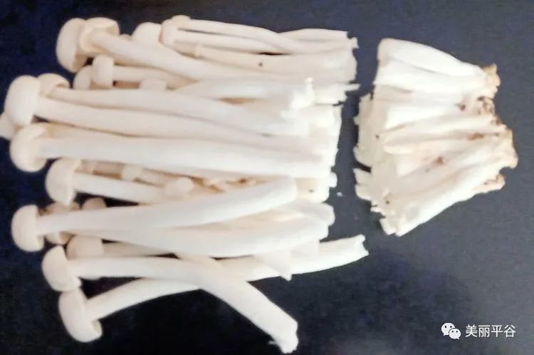 海鲜菇|影像平谷：油炸海鲜菇