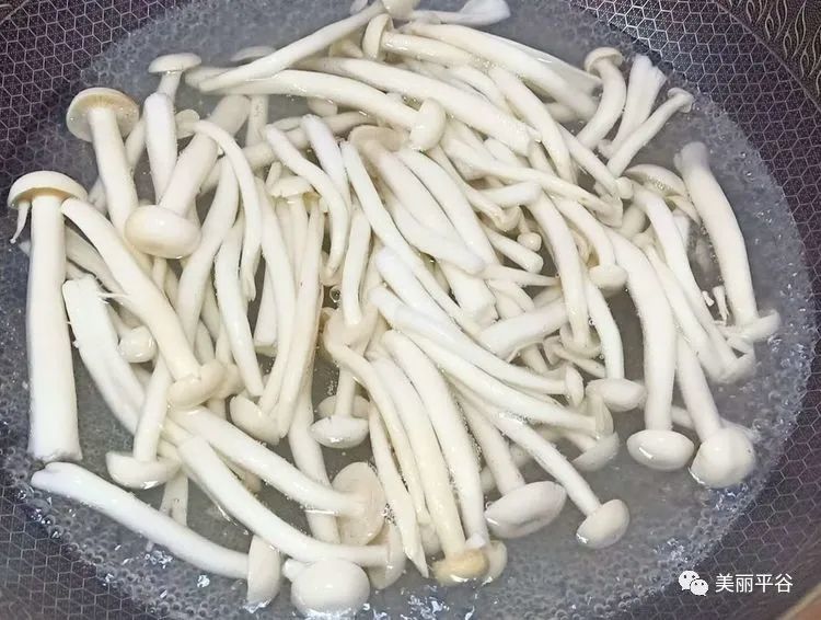 海鲜菇|影像平谷：油炸海鲜菇