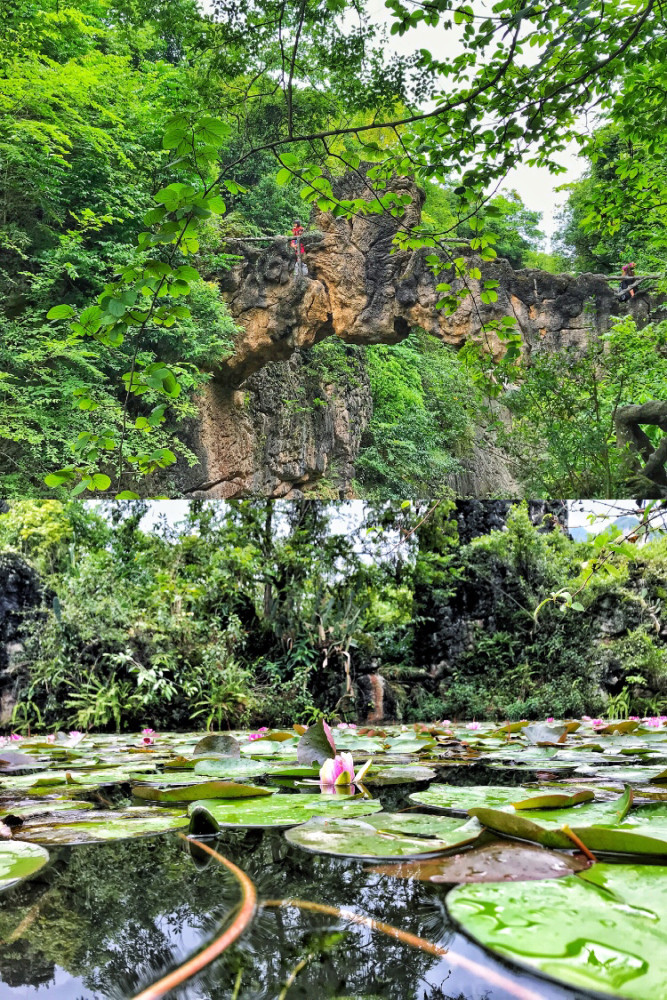 万年瀑布挂出彩虹,有幸初见"雪映川霞"奇观,如果是你会许什么愿?
