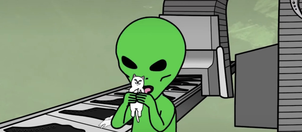 这就是来自洛杉矶的街头品牌—ripndip,他们的标志就是"贱猫"和"外星