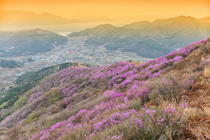 2020全国旅游百强县_2020中国旅游百强县榜单,江西6个上榜