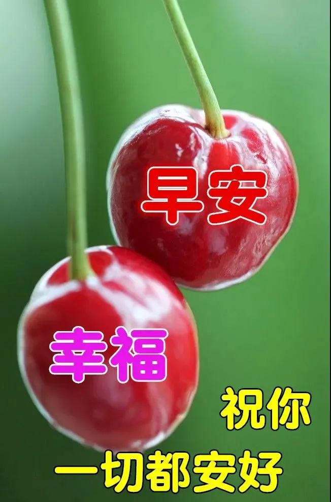 116清晨慰问朋友的早上好祝福句子早上好问候大家祝福语录