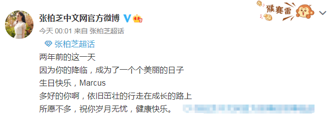 张柏芝|张柏芝三儿子2周岁生日，谢霆锋离京与王菲传情变，行程曝光说明一切