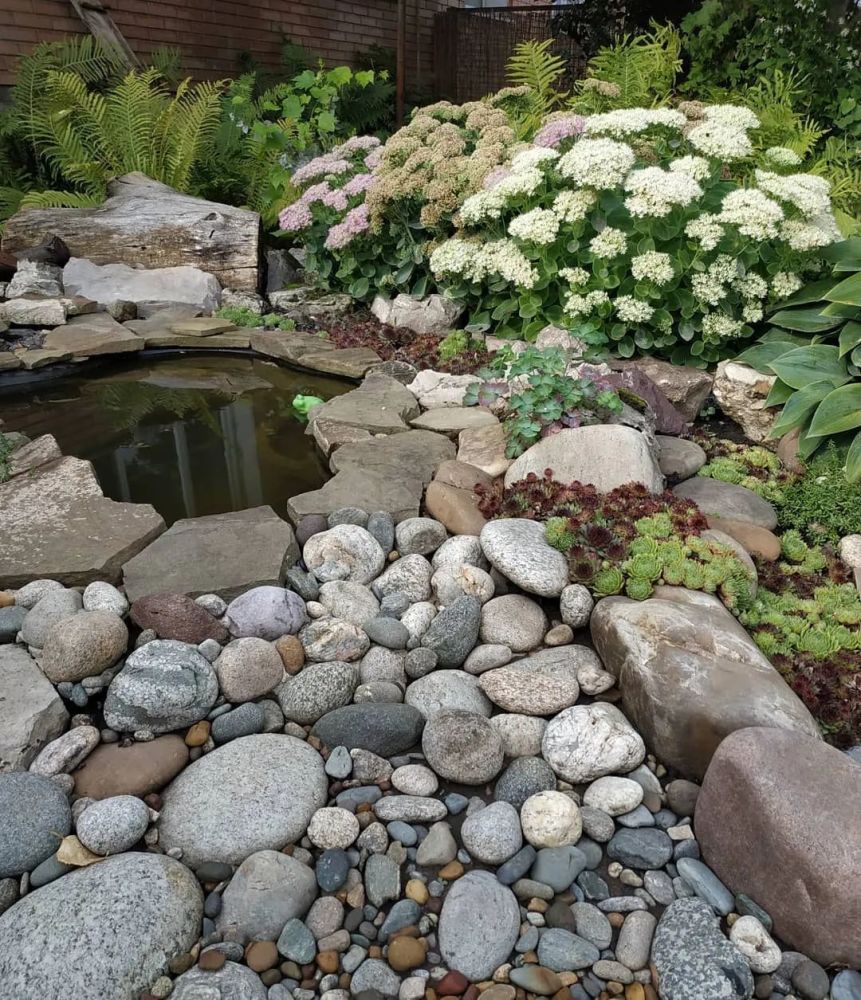 创意分享|做个小景,让庭院充满趣味_腾讯新闻