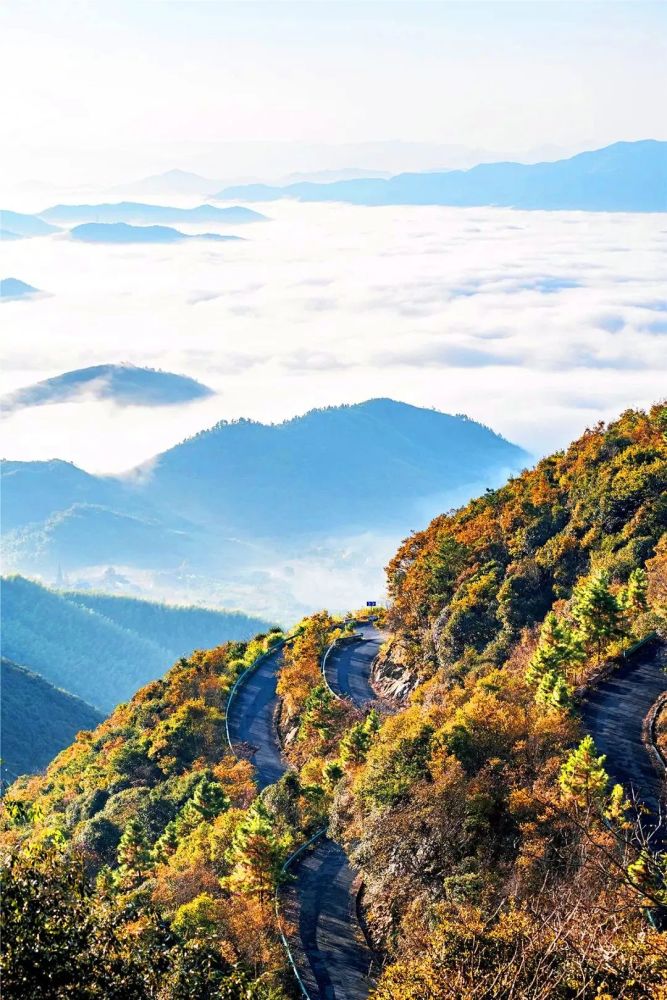 古老的塘棲,秀麗的徑山,還有山野之上綻放的花海…… 隨隨便便都是你