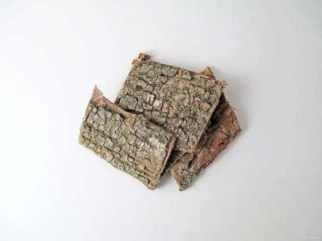 杜仲功效与作用 腾讯网