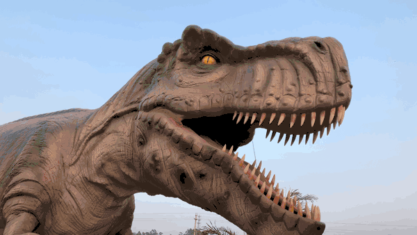 梅花鹿|门票|盘州动物园|恐龙乐园|盘州市|鹿岛