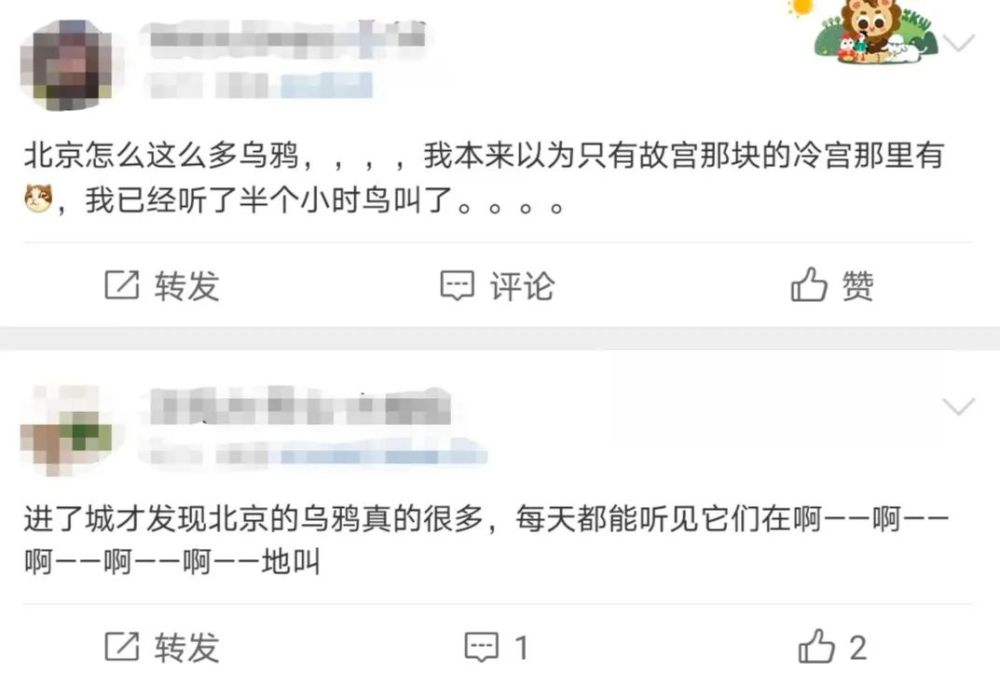 北京|在北京，有多少被乌鸦击中的人想要精神赔偿？