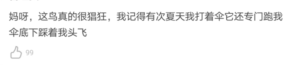 北京|在北京，有多少被乌鸦击中的人想要精神赔偿？